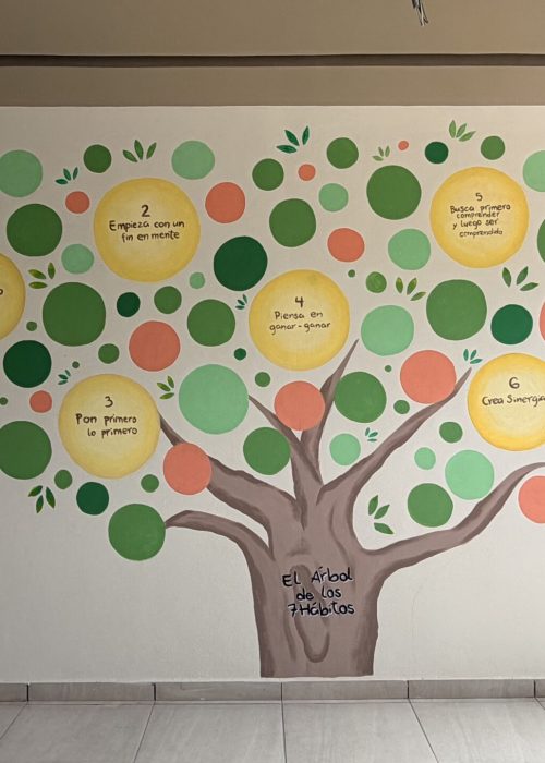 Árbol Bostons 2026