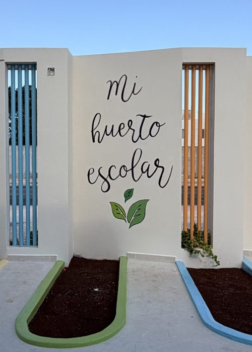 Huerto escolar